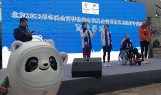 2022年冬奥会吉祥物介绍 2022年冬奥会吉祥物介绍